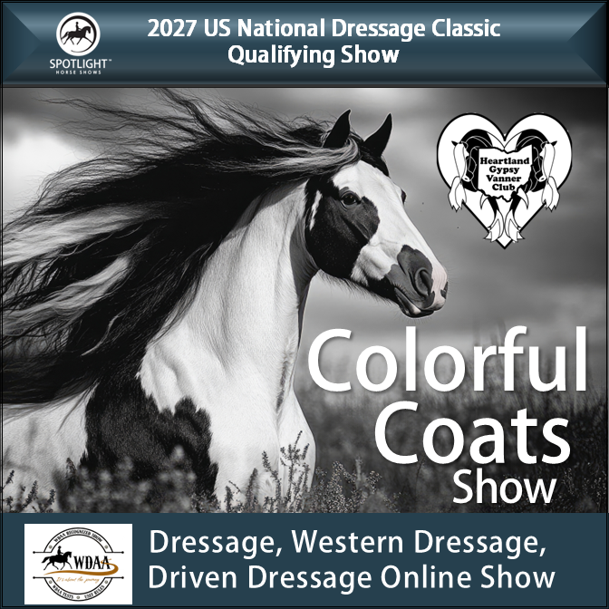 Show Image